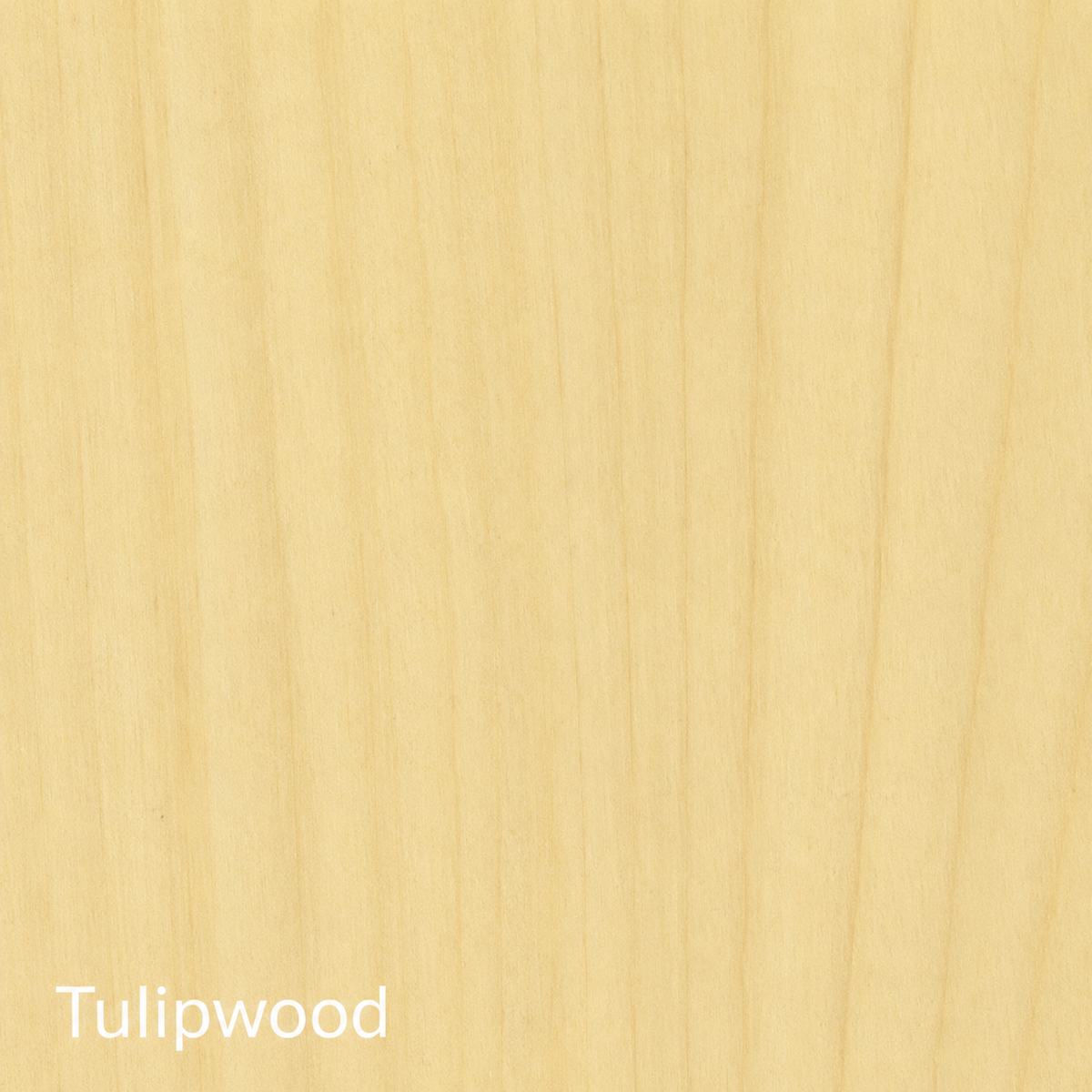 Tulipwood