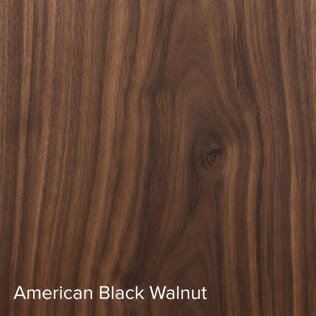 American Black Walnut