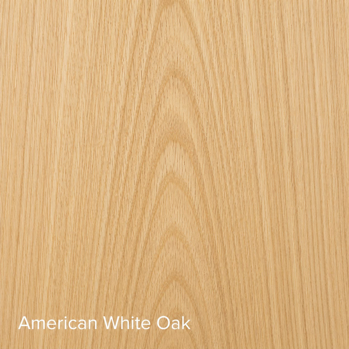 American White Oak