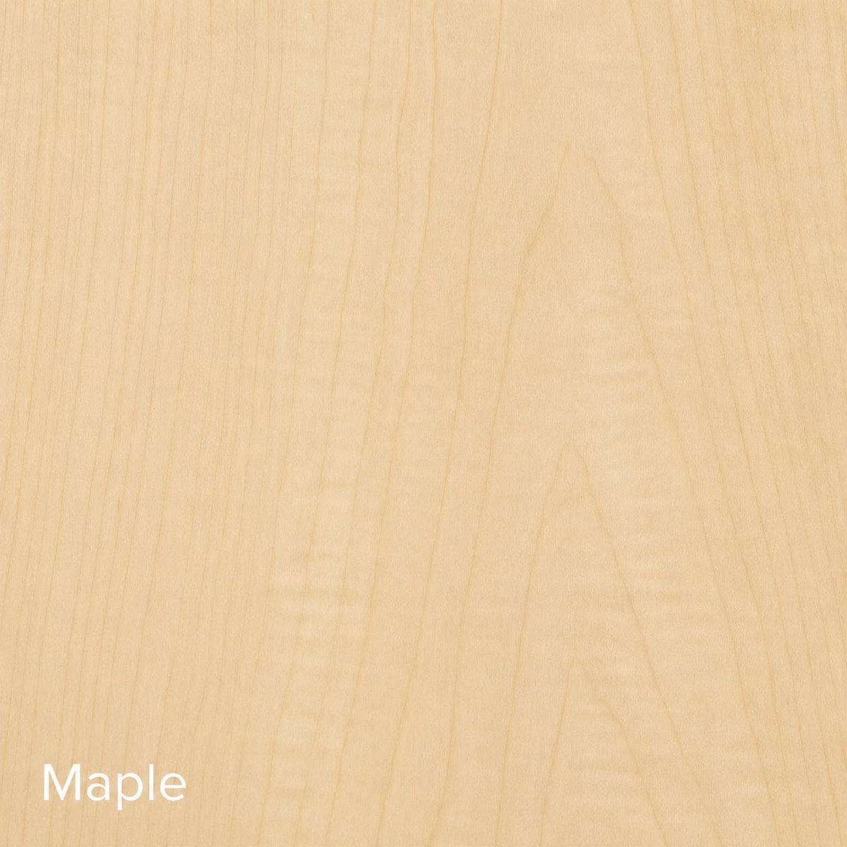Maple