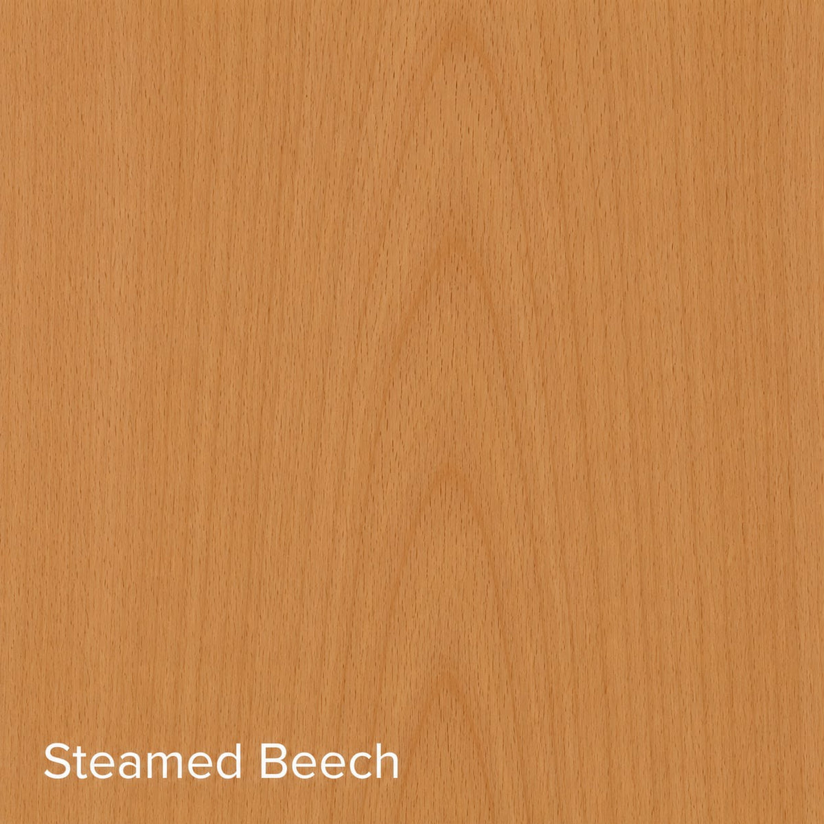 Steamed Beech
