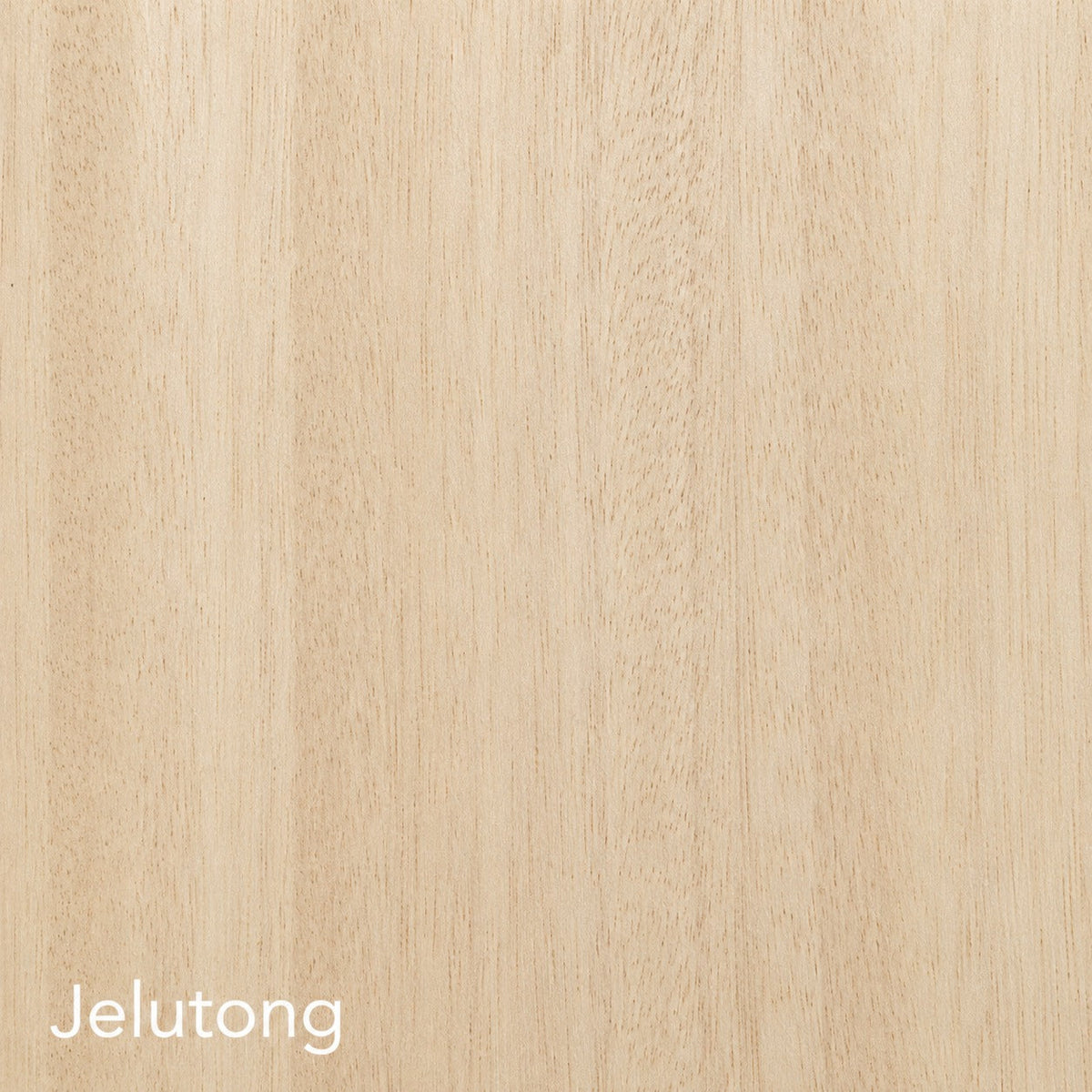 Jelutong