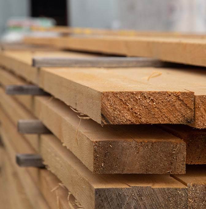 SOFTWOODS