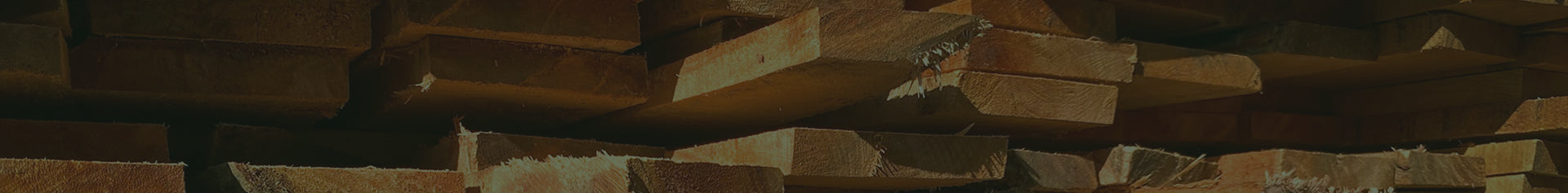Newsletter Banner